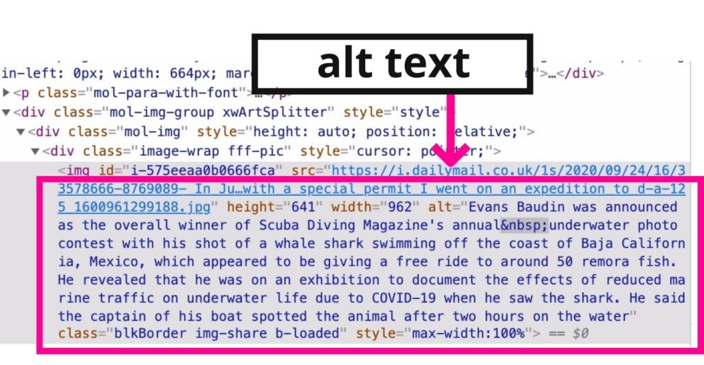Example of alt text from inspection pane
