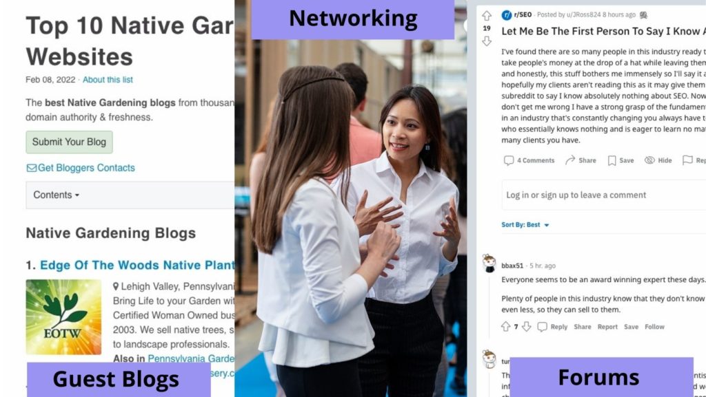natural link building strategies 