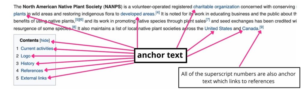 examples of anchor text