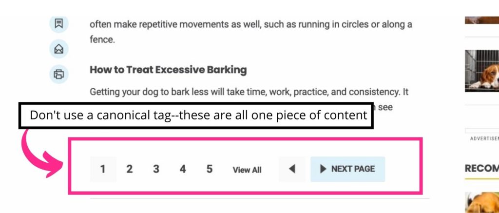 explanation and example of paginated content