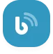 Big Commerce SEO