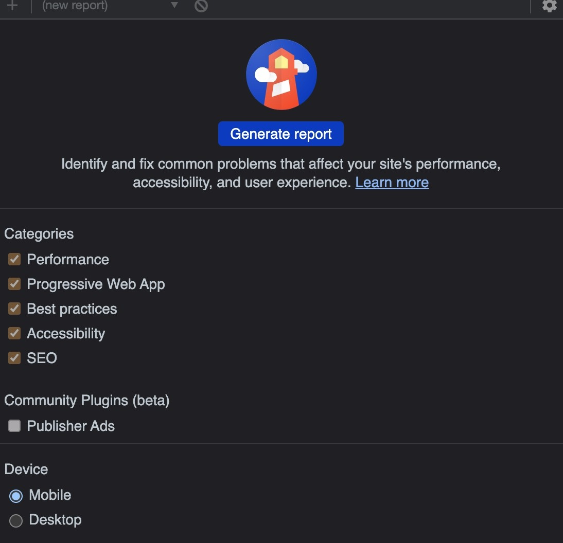 Screenshot of the Google Lighthouse Tool