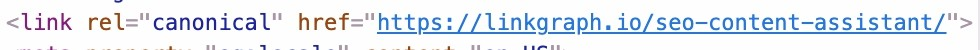 example of canonical tag