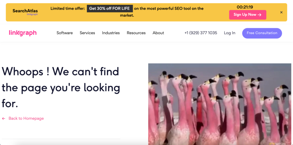 screenshot of a 404 error message